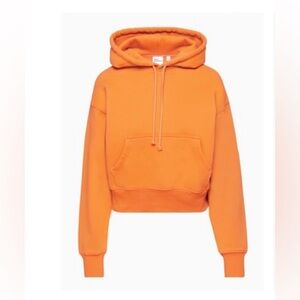Aritzia cropped hoodie